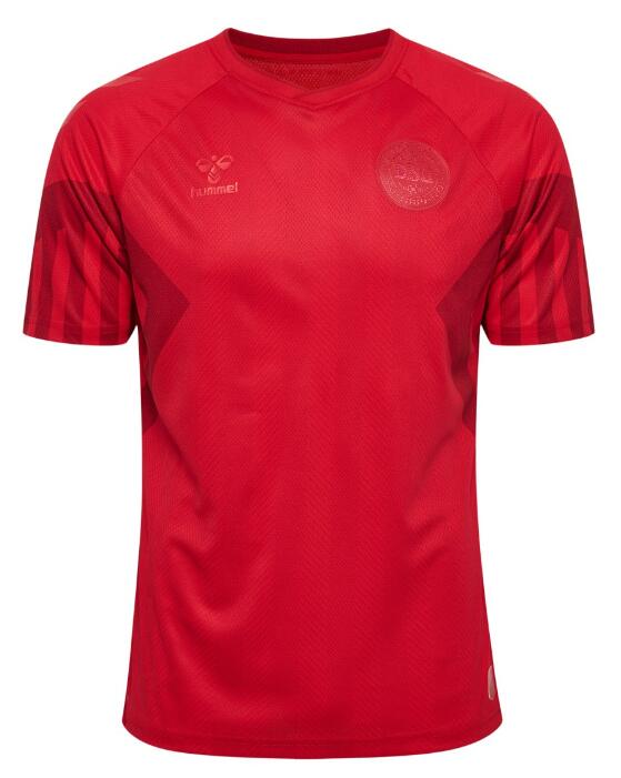 Denmark 2022 World Cup Home Shirt Soccer Jersey