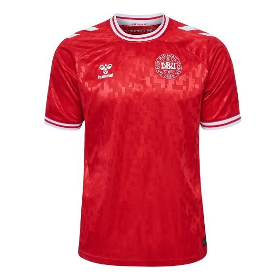 Denmark 2024 Euro Cup Home Shirt Soccer Jersey