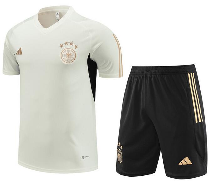 Germany 2023/24 Beige Training Suit (Shirt+Shorts)