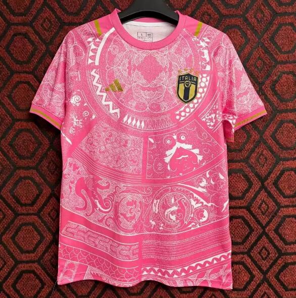 Italy 2024 Euro Cup Special Pink Shirt Soccer Jersey