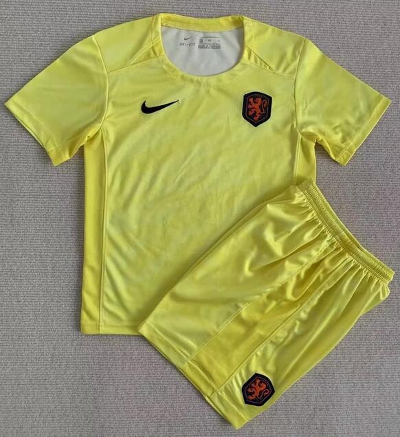 Netherlands 2023/24 Goalkeeper Yellow Kids Soccer Kit Children Shirt And Shorts
