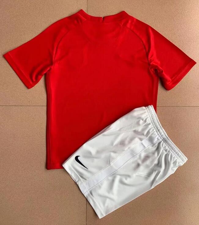 Norway 2022/23 Home Kids Soccer Kit Children Shirt And Shorts