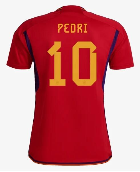 Spain 2022 World Cup Home 10 Pedri Shirt Soccer Jersey