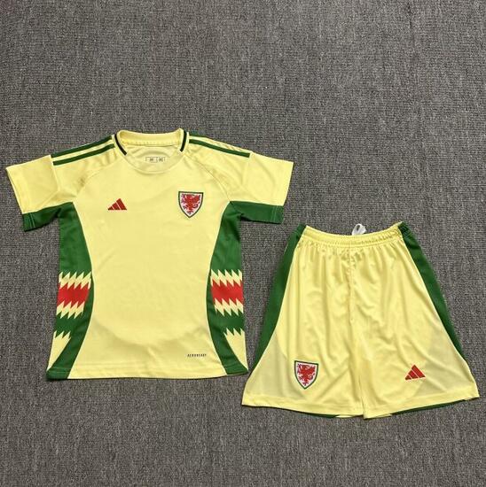 Wales 2024/25 Away Kids Soccer Kit Children Shirt And Shorts