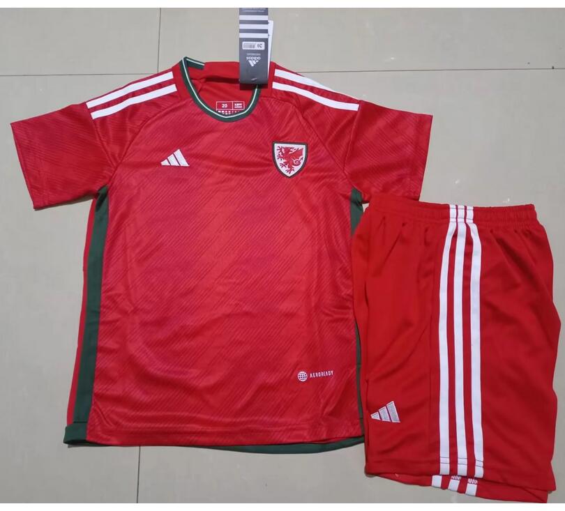 Wales 2022 World Cup Home Kids Soccer Kit Children Shirt And Shorts