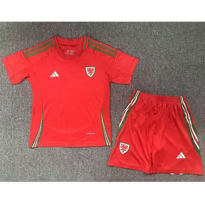 Wales 2024/25 Home Kids Soccer Kit Children Shirt And Shorts