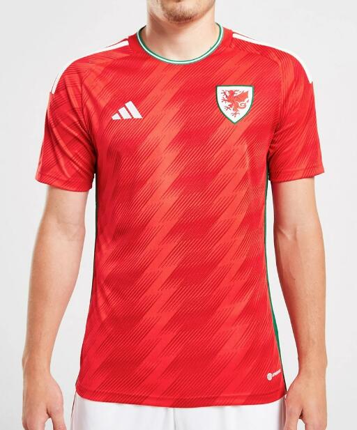 Wales 2022 World Cup Home Shirt Soccer Jersey