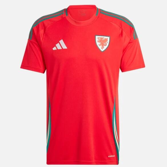 Wales 2024/25 Home Shirt Soccer Jersey
