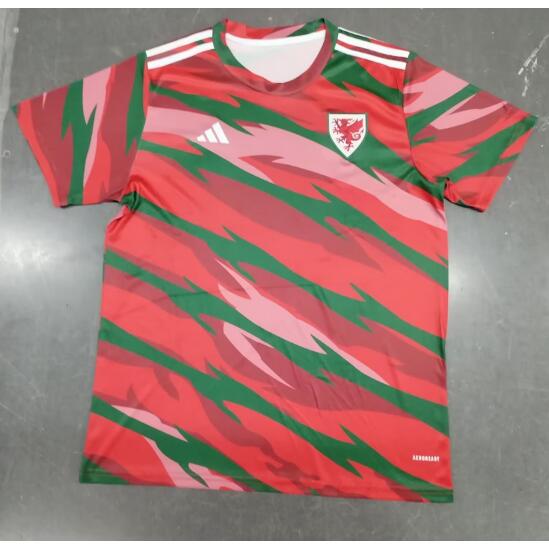 Wales 2024/25 Pre-Game Training Shirt