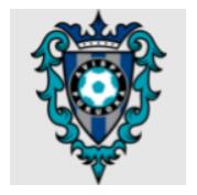 Avispa Fukuoka